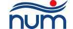 Mendrisiotto Nuoto