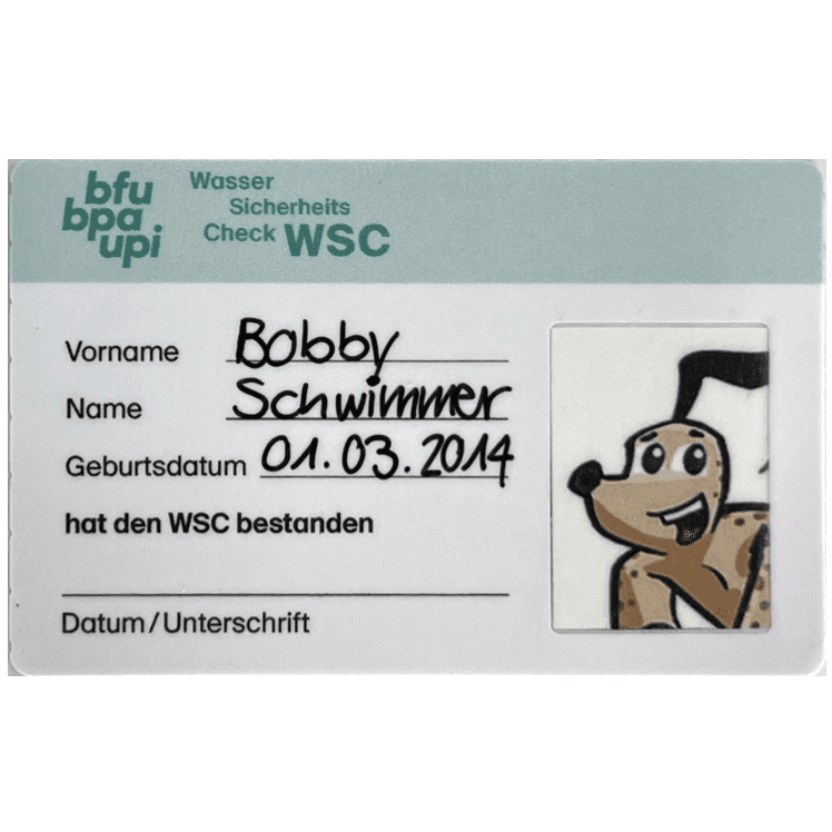 Water Safety Check (WSC)