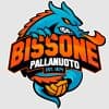   Società Pallanuoto Bissone