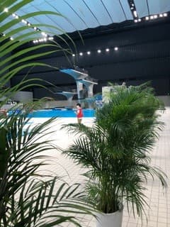 Diving